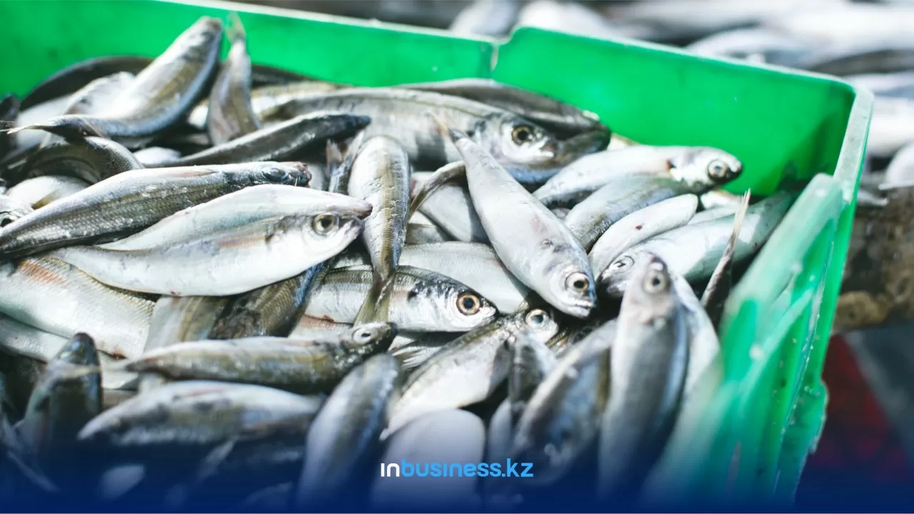 Рыбоперерабатывающие предприятия РК будут субсидировать с 1 января