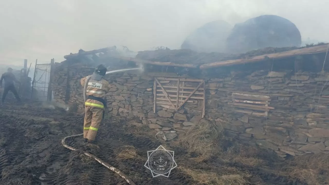 Обширный пожар потушили в Абайской области 