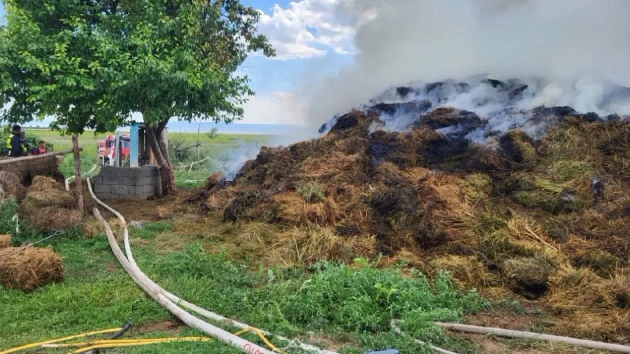 45 тонн сена загорелись в Абайской области