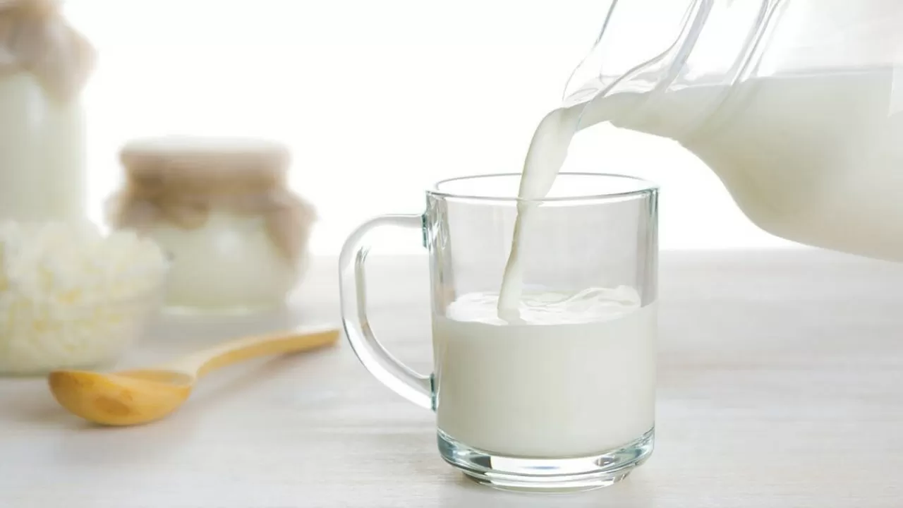 Около 200 тыс. тонн молока в год перерабатывают в ВКО  