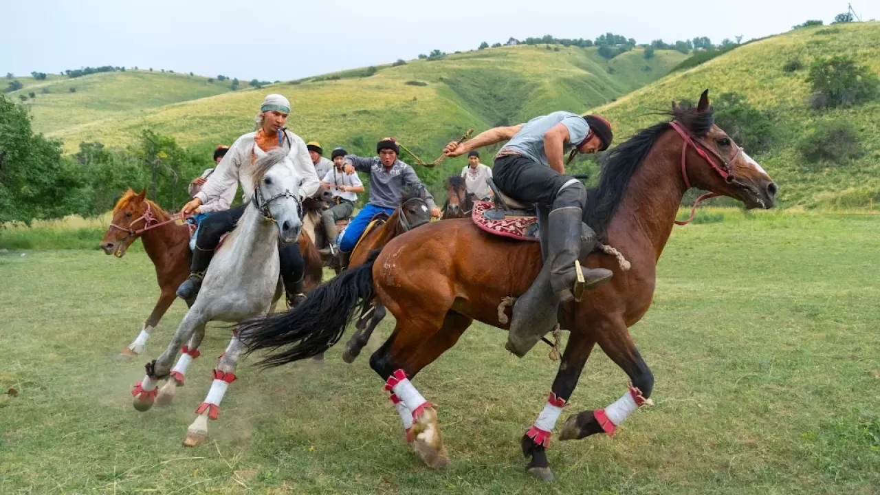 Токаев подписал поправки в закон по сохранению отечественных пород лошадей