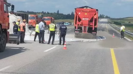 Жолға төгілген бояу: Полицейлер Астанаға мыңнан астам көлікті алып жүрді