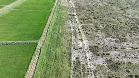 ТОО незаконно сняло плодородный слой с почвы в Кызылординской области 