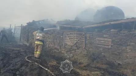 Обширный пожар потушили в Абайской области 