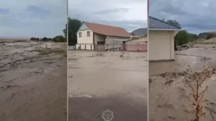 Алматы облысында сел жүріп, үйлерді су басты