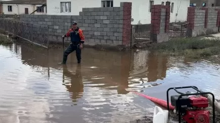 Началась оценка ущерба от наводнения в Жамбылской области 