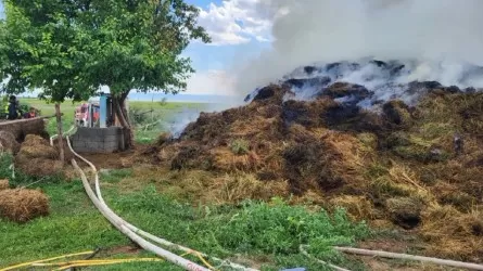 45 тонн сена загорелись в Абайской области