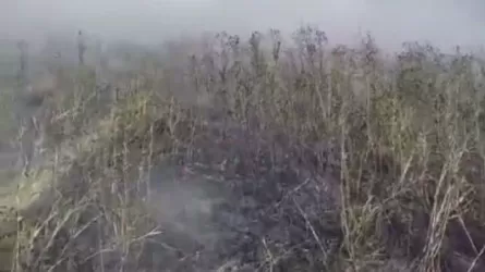 Крупный пожар вспыхнул в Астане у озера Талдыколь