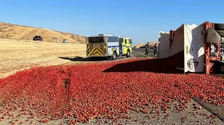 Дорогу завалило помидорами в Калифорнии