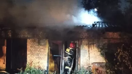 Крупный пожар во дворе жилого дома потушили в Жамбылской области