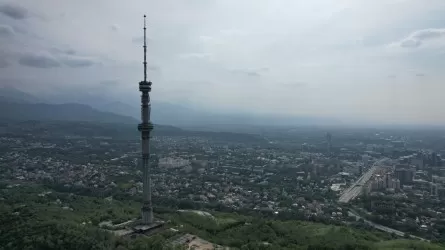 Алматыда азық түлік өндірісінің индексі 88 пайызға дейін өсті