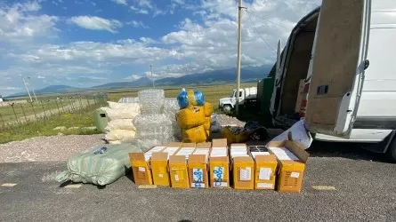 Разнообразную контрабанду из Казахстана в Кыргызстан пытался ввезти местный житель 