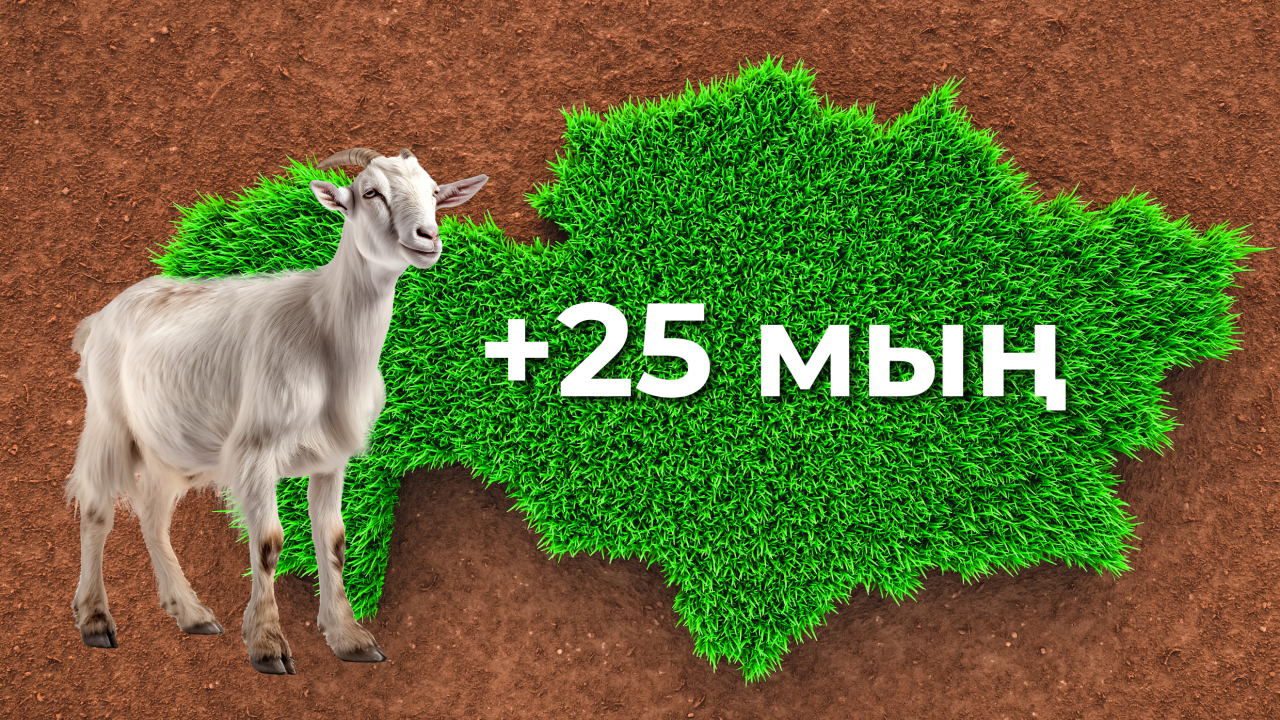 Ресейдің жеке қарттары