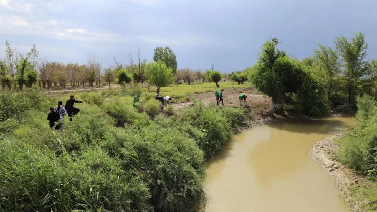 Водоемы Кызылординской области очистили от мусора