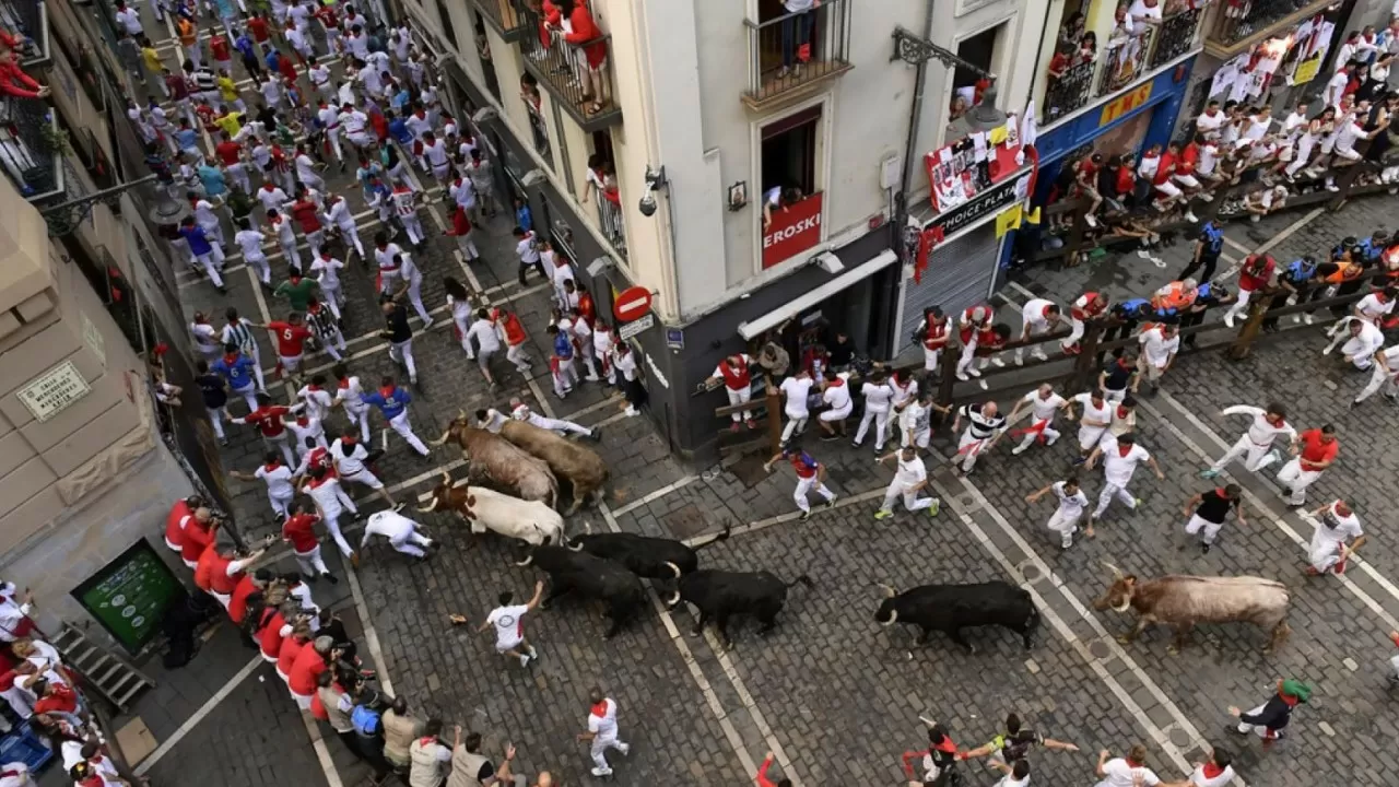 Семь человек оказались в больнице после забега быков на фестивале Сан-Фермин