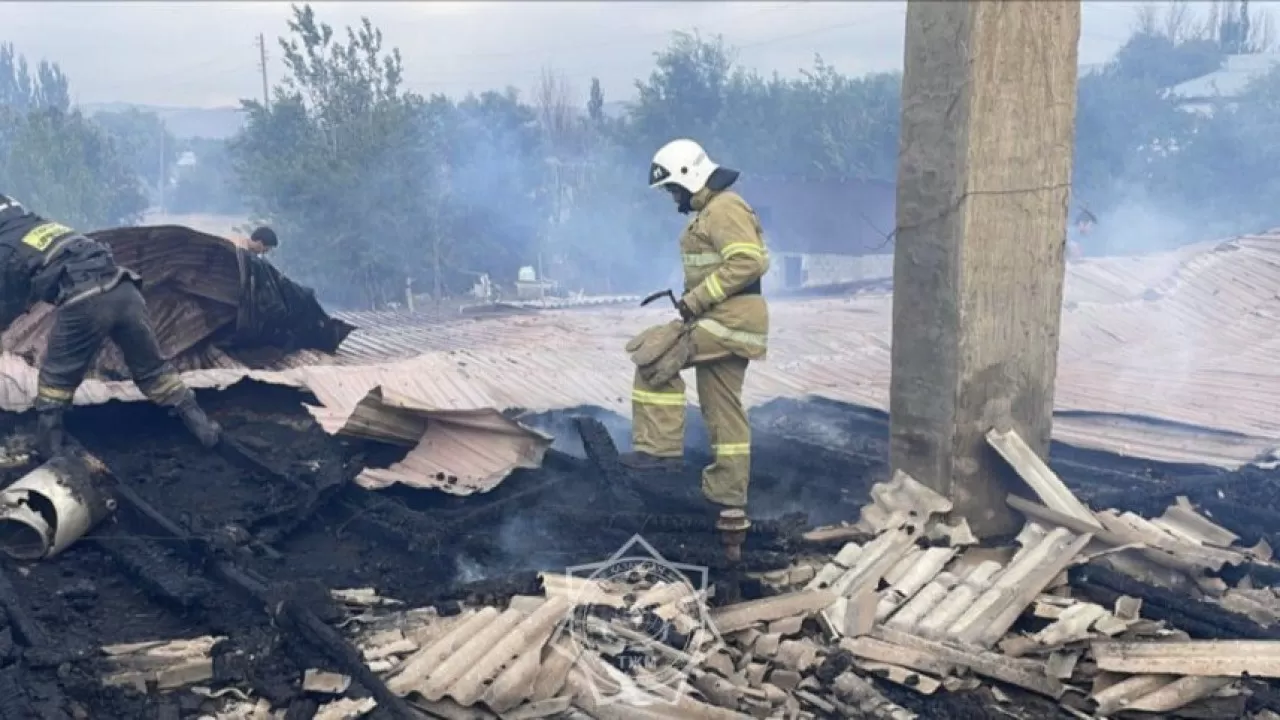Крупный пожар случился в Алматинскиой области
