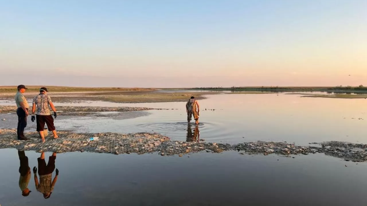 Молодь карася погибла в Атырауской области