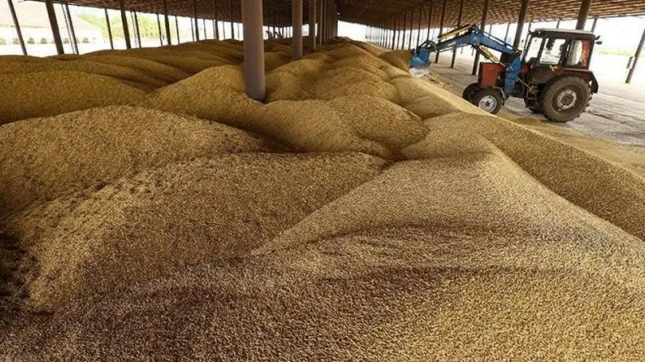 Kazakhstan threshes nearly 2.7 mln tons of grain