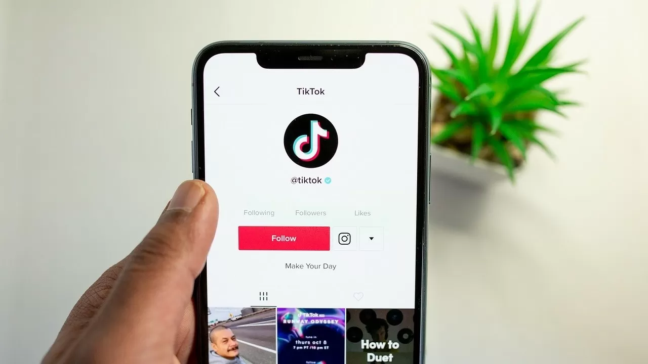 Сотрудники штаб-квартиры TikTok пострадали от массового пищевого отравления