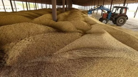 Kazakhstan threshes nearly 2.7 mln tons of grain