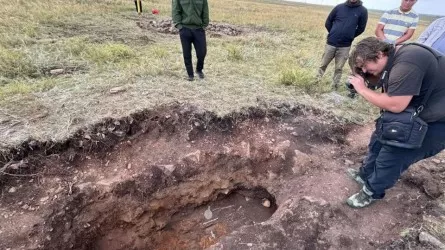 Уникальная вещь найдена во время раскопок в Акмолинской области 