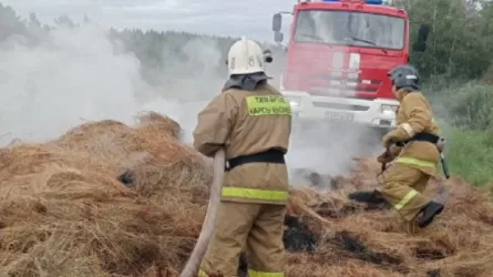 Ақмола облысында 10 тонна шөп өртенді 