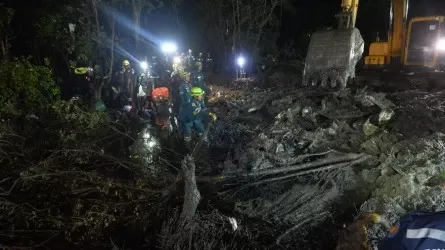 Девять человек погибли в авиакатастрофе в Таиланде