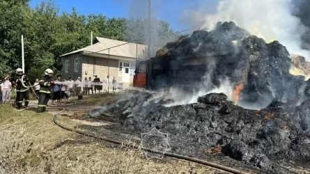 Түркістан облысында шөп тиелген жүк көлігі өртеніп кетті