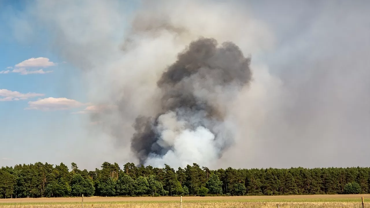 Помощь в борьбе с лесными пожарами запросила Португалия 