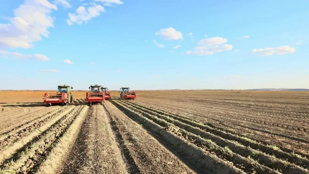 Когда планируют завершить уборку зерновых в Карагандинской области? 