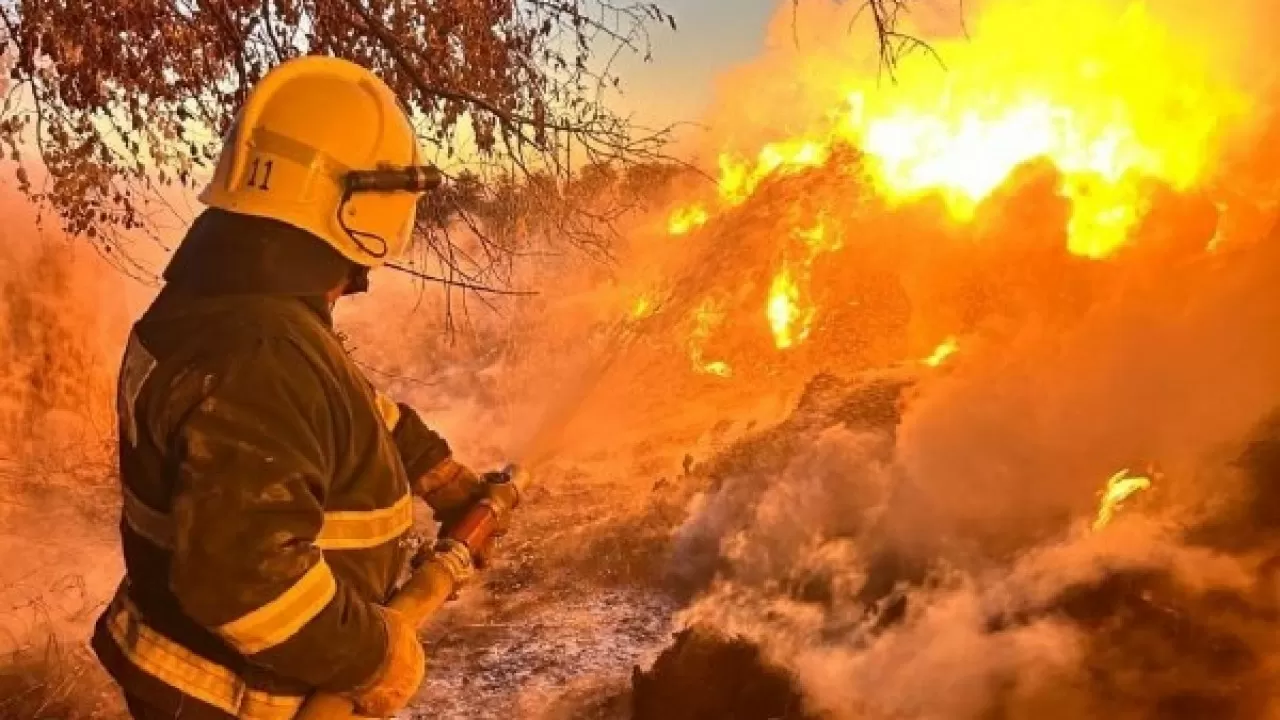 170 рулонов сена загорелись в Жамбылской области 