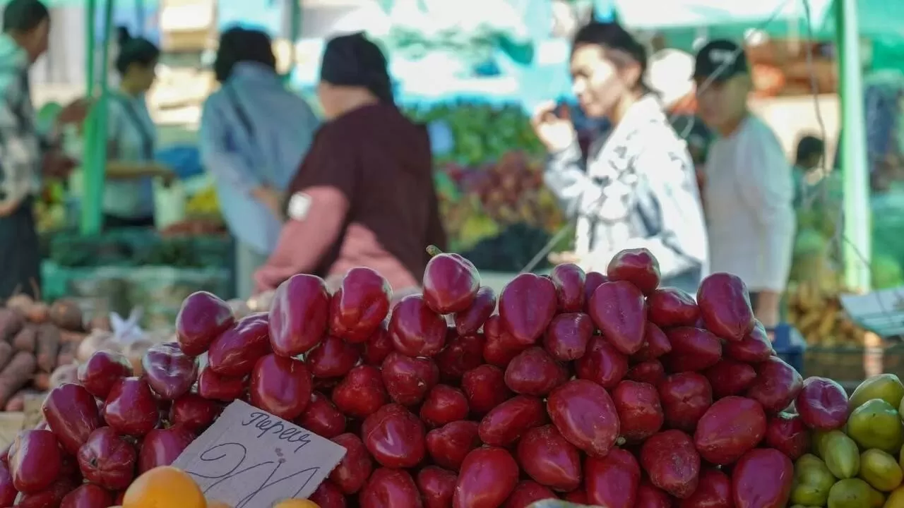 Аграрии двух областей привезут недорогие продукты на ярмарку в Астане 