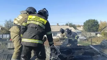 Домашняя птица погибла в огне на частном подворье в Карагандинской области 