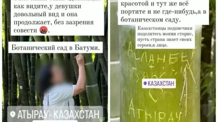 Тағы да вандализм! Қазақстандық Батумидегі сирек кездесетін ағашқа атын жазып кеткен