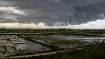 59 человек погибли из-за тайфуна во Вьетнаме