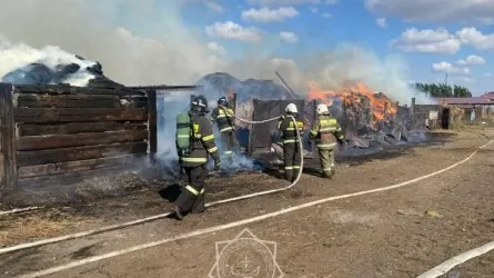 Горящее сено в условиях жары и ветра потушили пожарные Улытауской области 