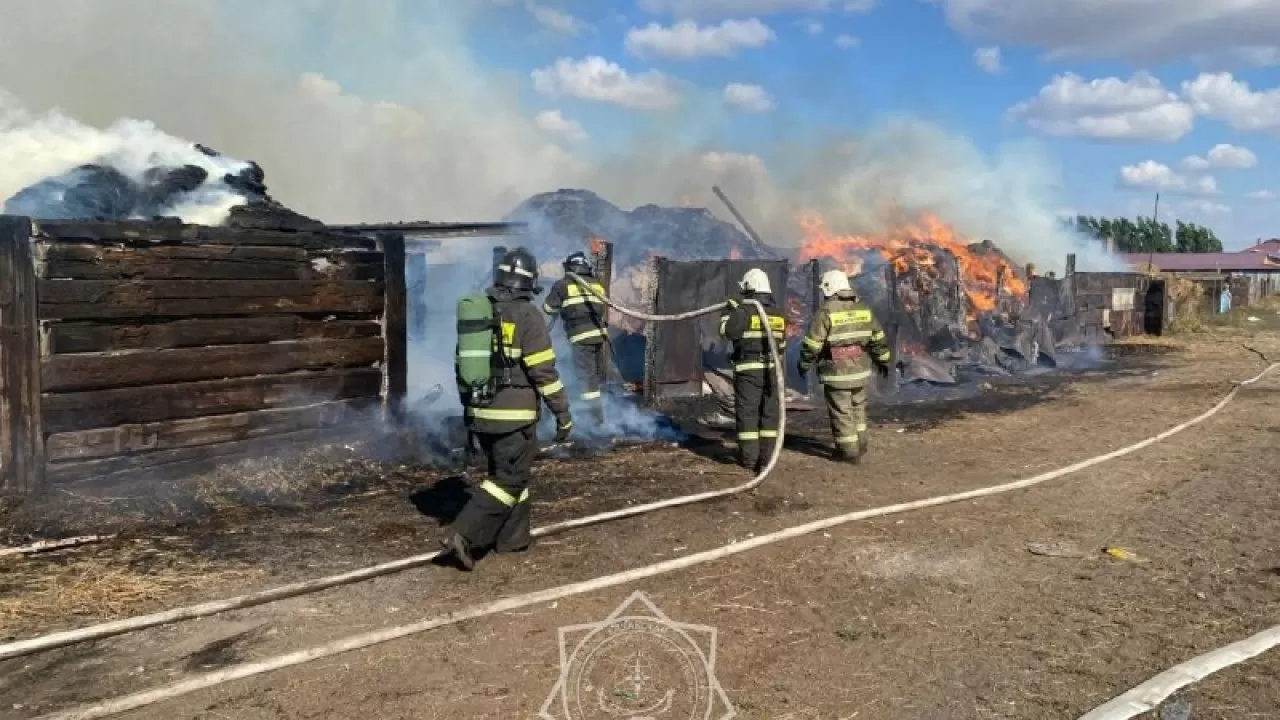 Горящее сено в условиях жары и ветра потушили пожарные Улытауской области 