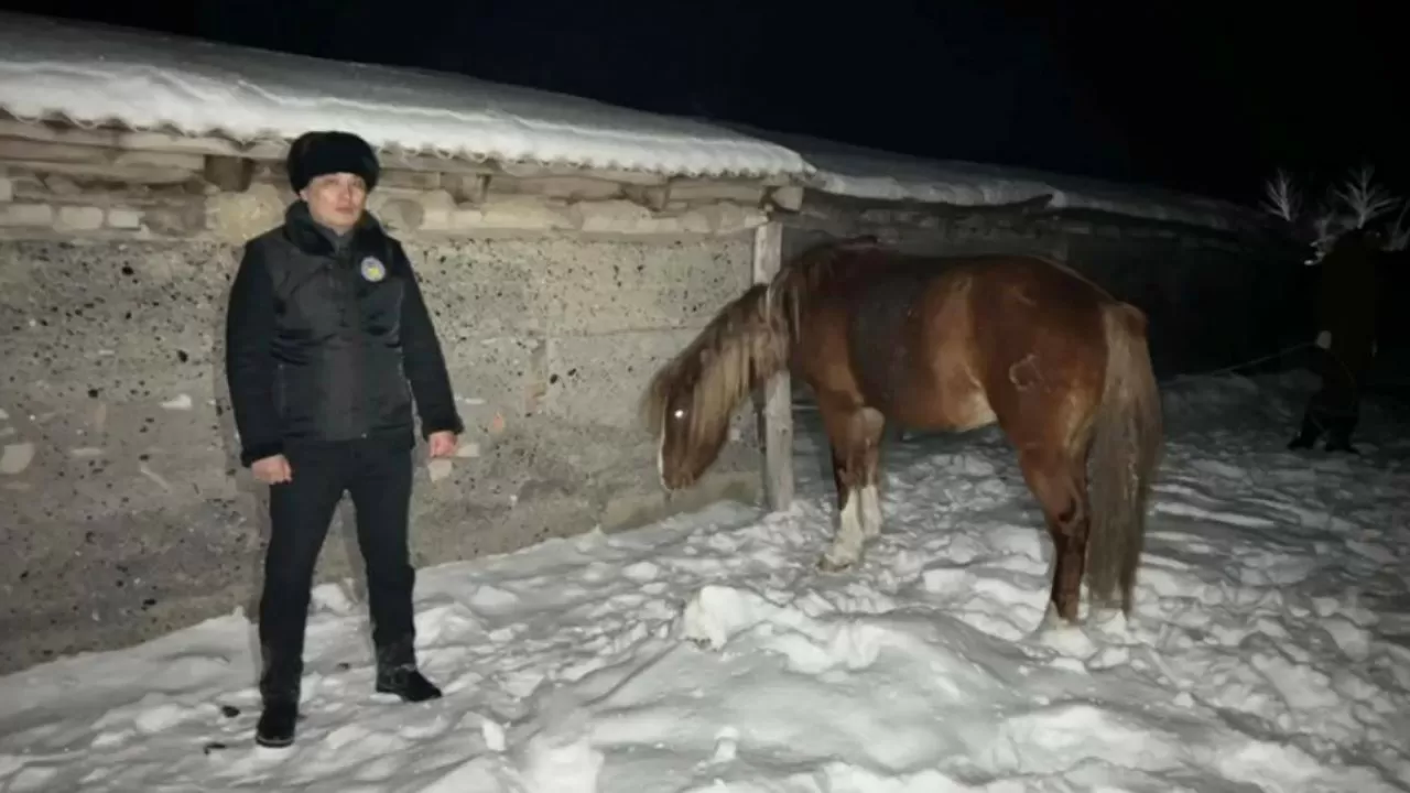 Что охранял, то и украл: пастуха подозревают в крупной краже лошадей в ВКО 