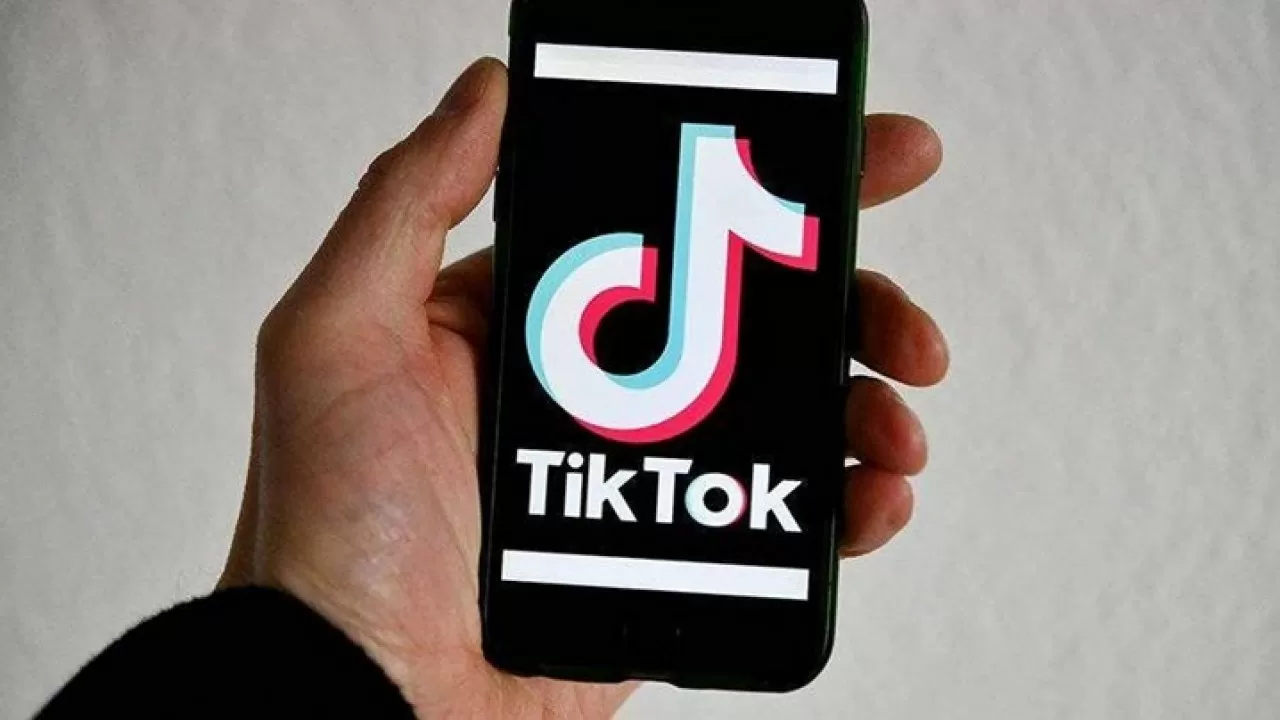 В Кыргызстане просят разблокировать TikTok  