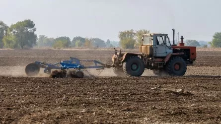 Нас со всех сторон ограничивают штрафами – костанайские аграрии о доступности кредитов