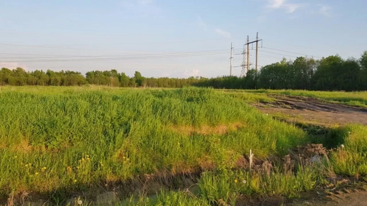 Акимат Павлодара обязали вернуть земли студентам колледжа 