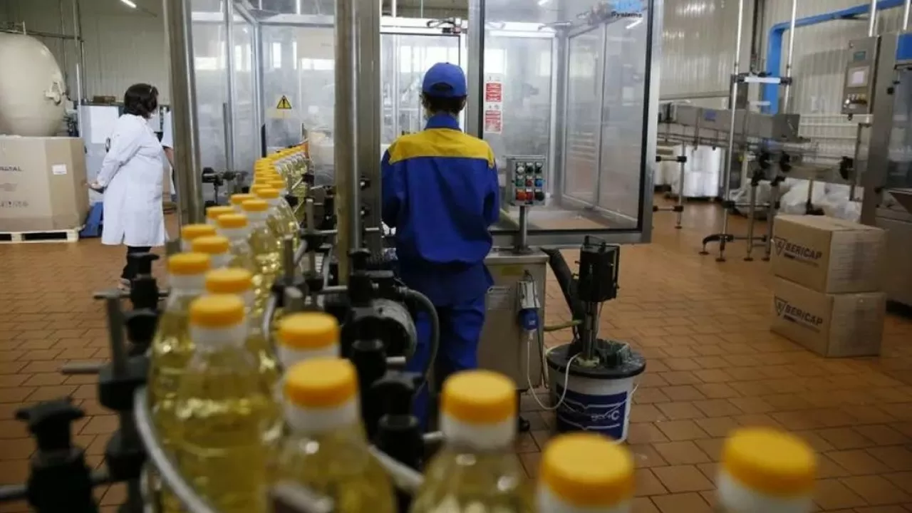 Қазақстан Орталық Азия елдерін күнбағыспен толық қамти алады