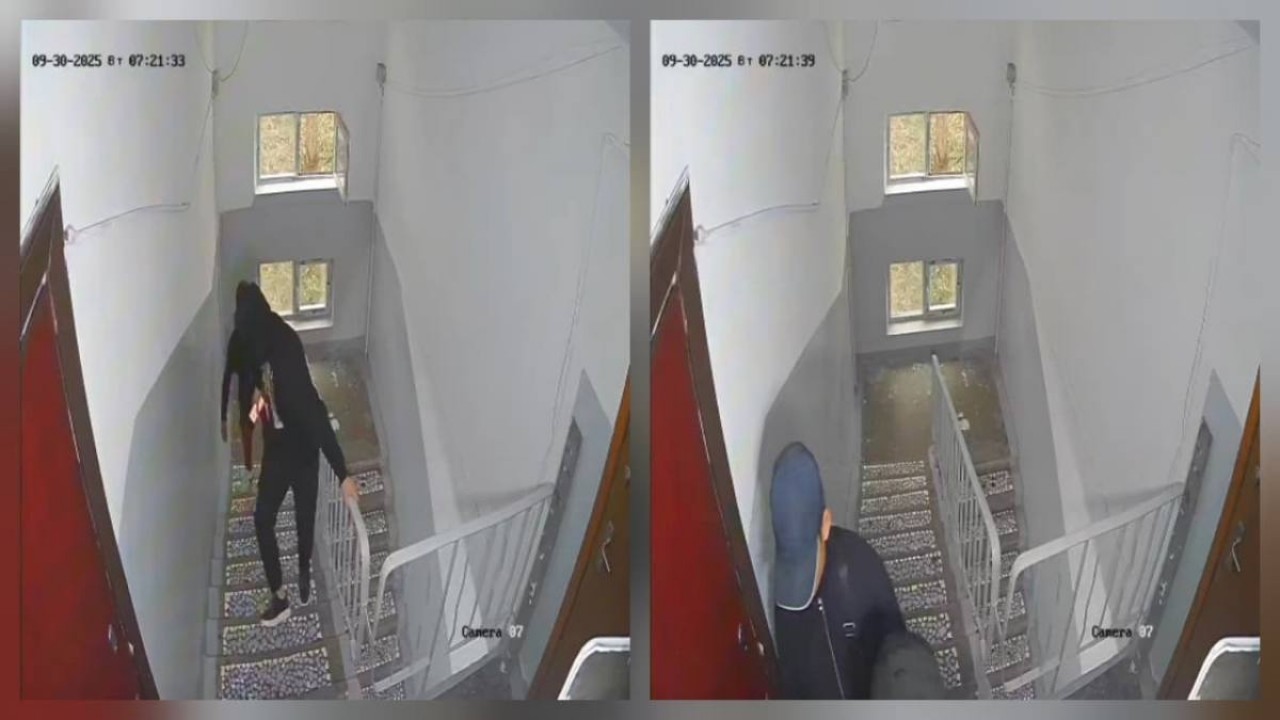 Қысқа қатаң порно видеолар