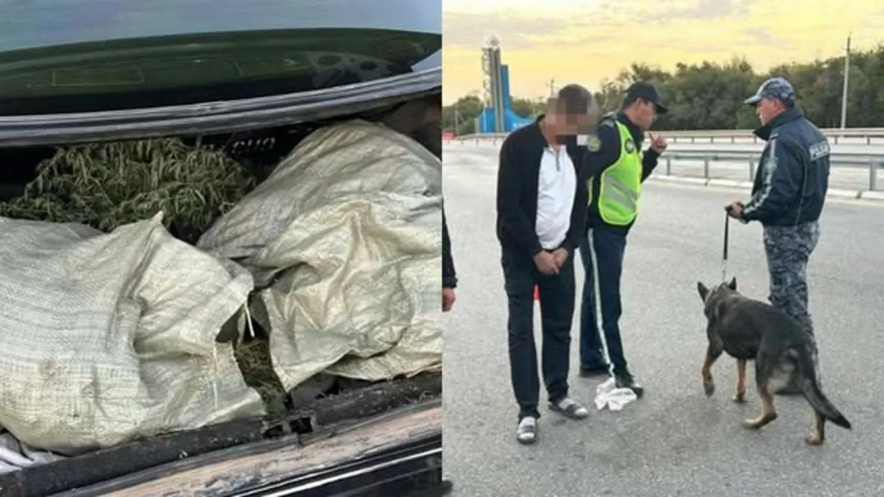 Сразу два факта перевозки наркотиков выявили в Туркестанской области 