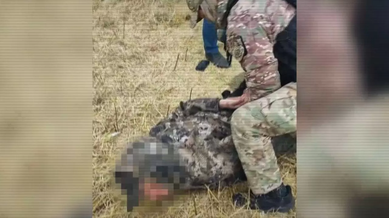 Сразу несколько преступных групп занимались кражей нового урожая в Казахстане 