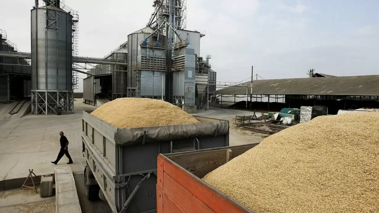 Көрші ел Қазақстанның астық жүгін тексеруді қатаңдатып жатыр