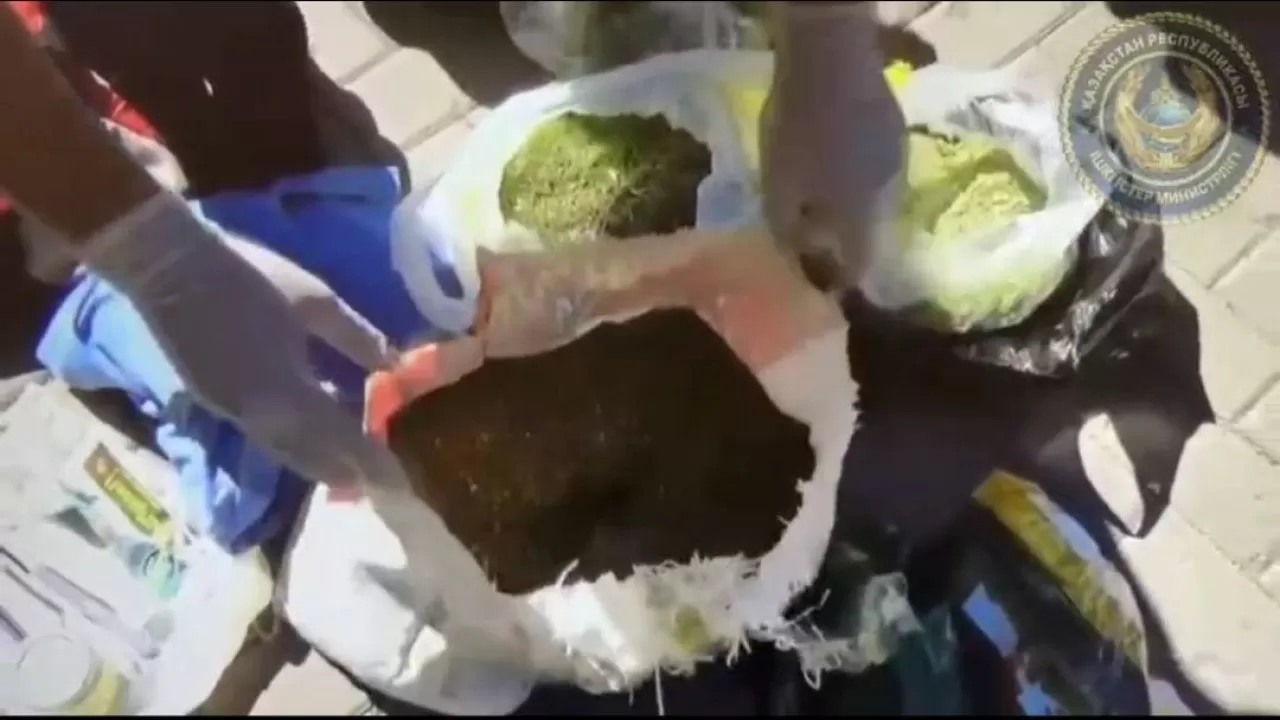 Пенсионер вез полные мешки с марихуаной в Караганду 