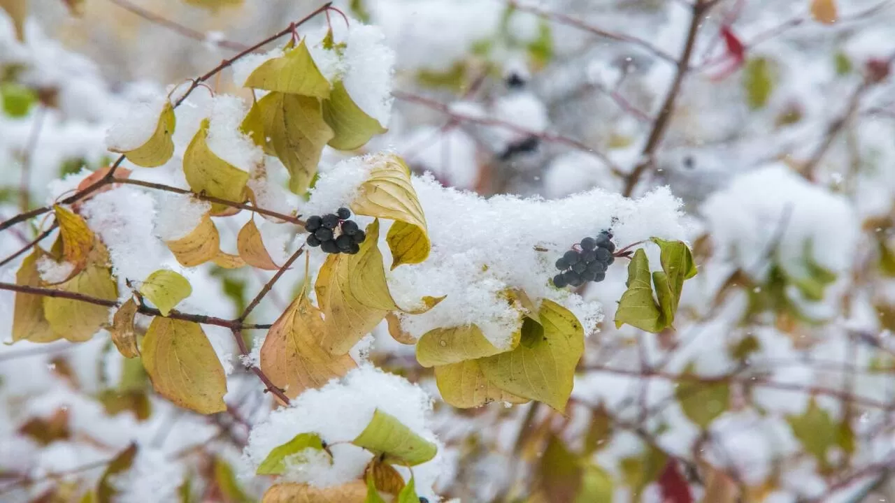 Қазақстанның басым бөлігінде дауылды ескерту жарияланды 
