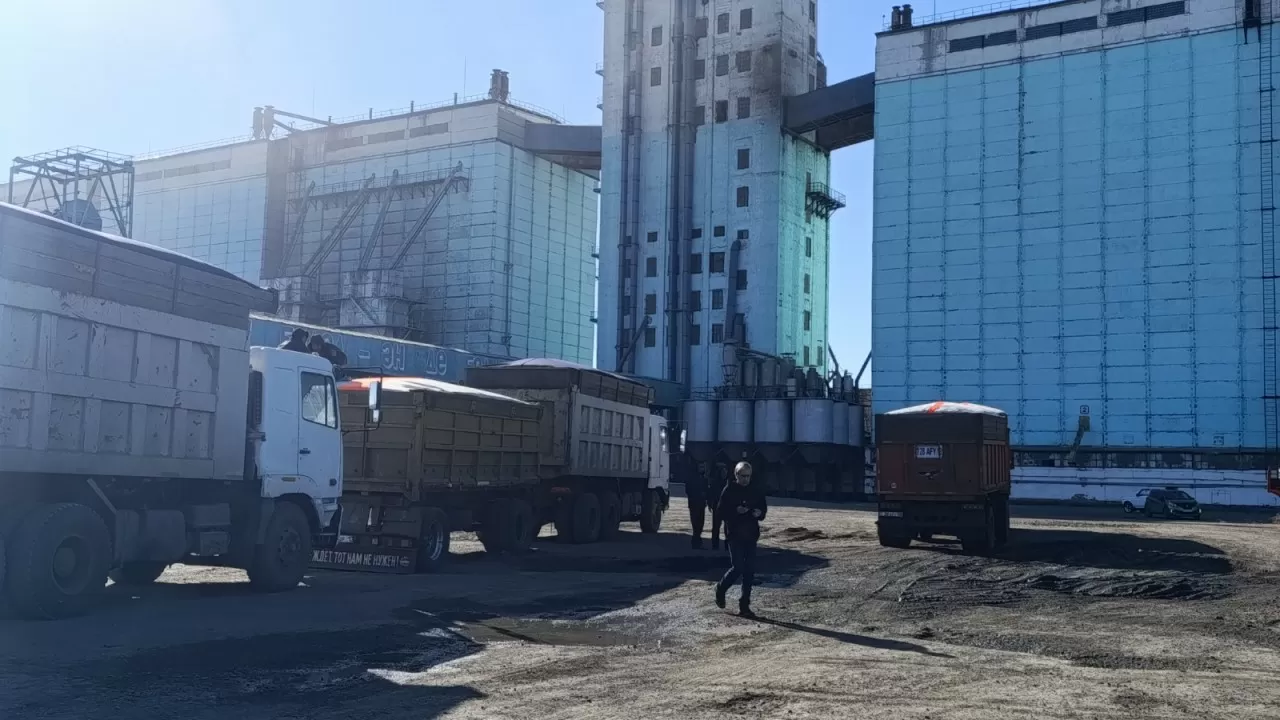 Новый урожай из РК пользуется повышенным спросом: сколько уже отправилось на экспорт 