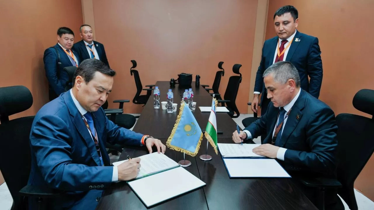Казахстан договорился с Узбекистаном и Египтом о взаимодействии аудиторов